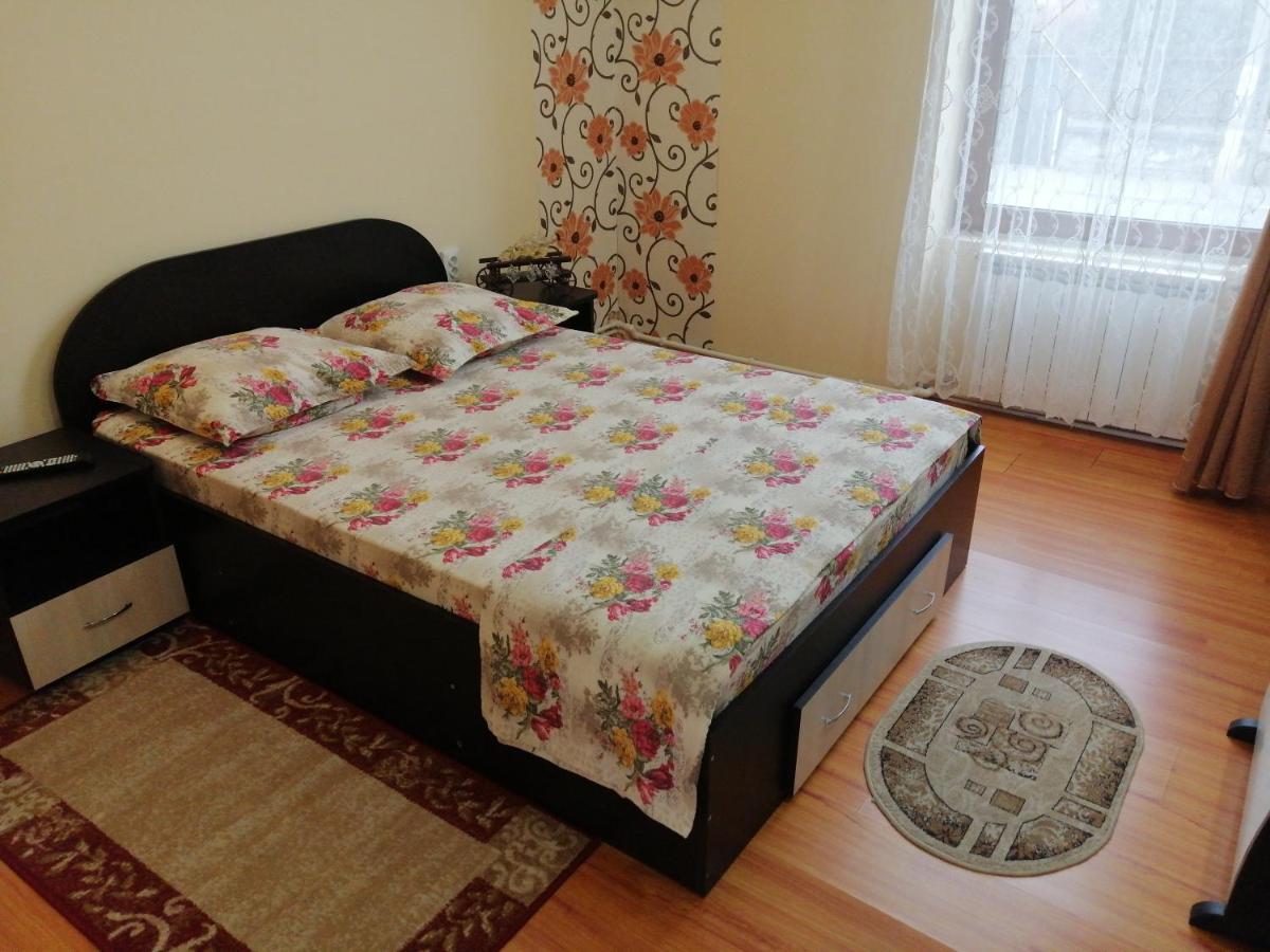 Casa Ovi Si Simo Hotel Hateg Bagian luar foto