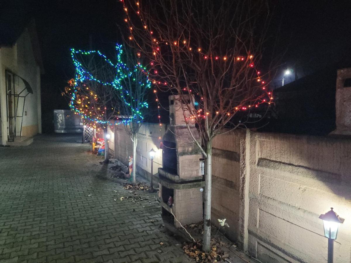 Casa Ovi Si Simo Hotel Hateg Bagian luar foto