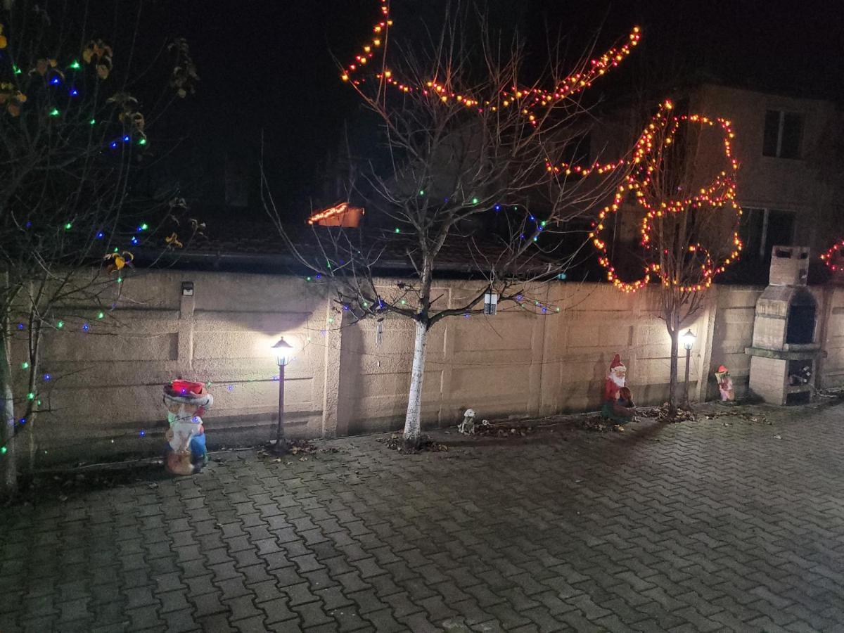 Casa Ovi Si Simo Hotel Hateg Bagian luar foto