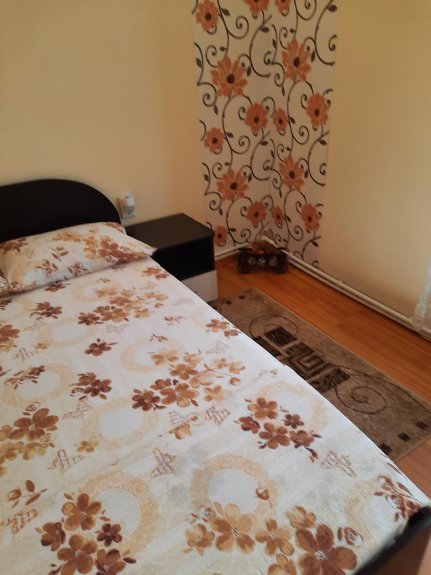 Casa Ovi Si Simo Hotel Hateg Ruang foto