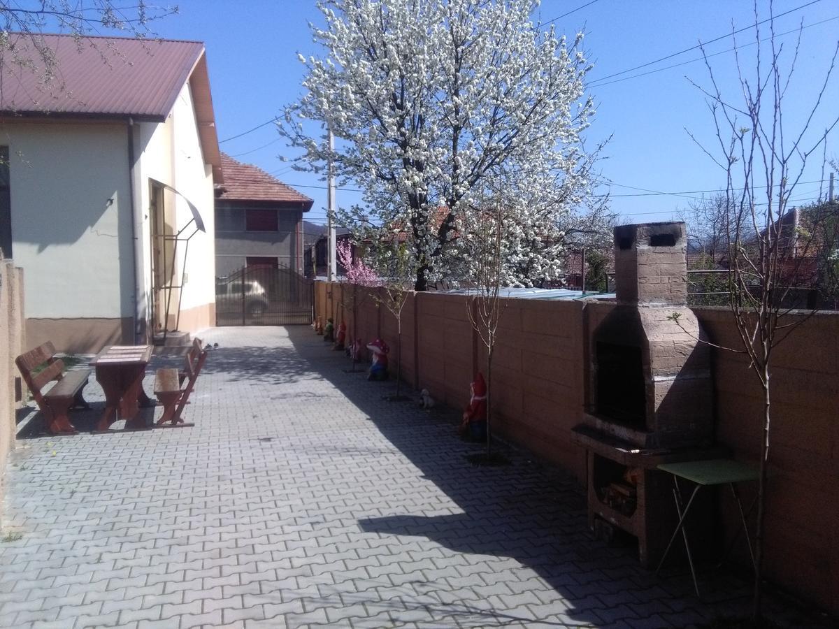 Casa Ovi Si Simo Hotel Hateg Bagian luar foto