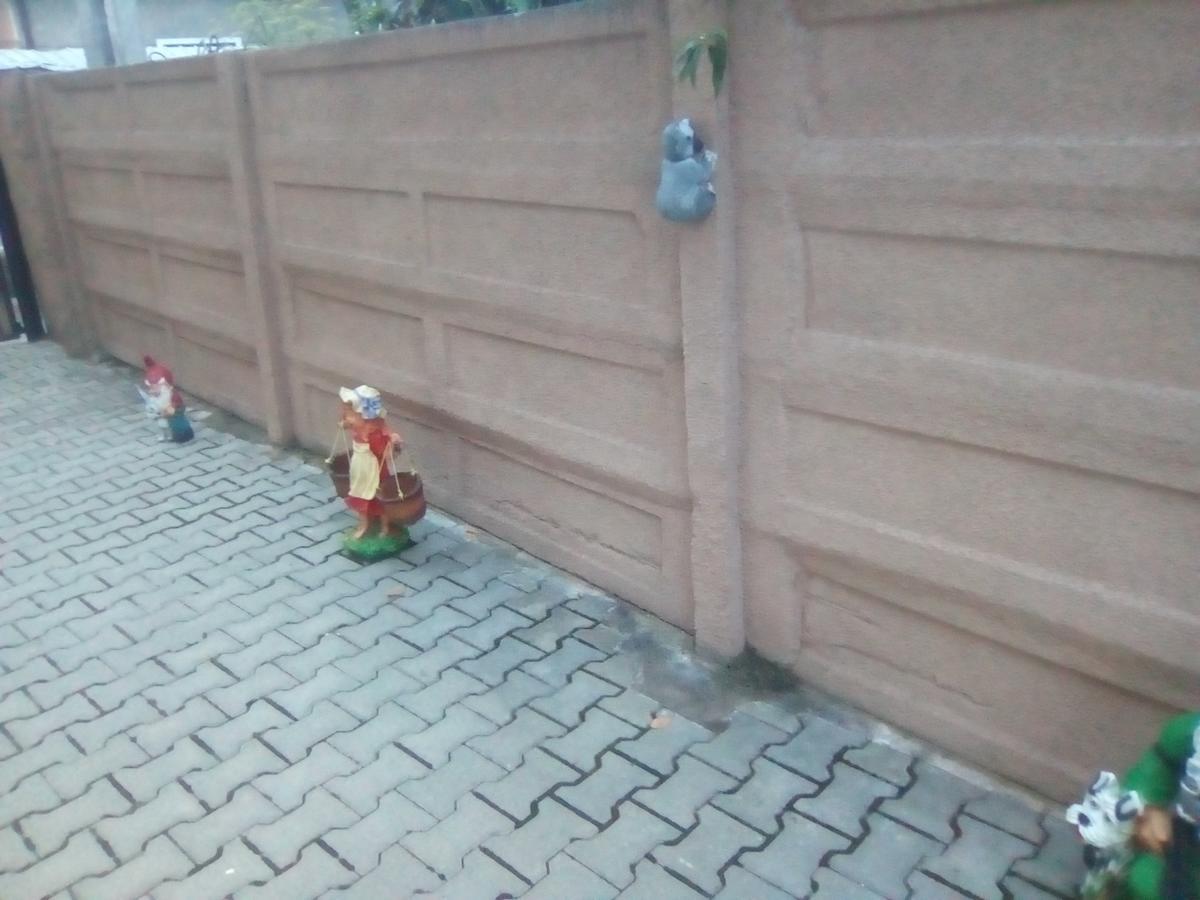 Casa Ovi Si Simo Hotel Hateg Bagian luar foto