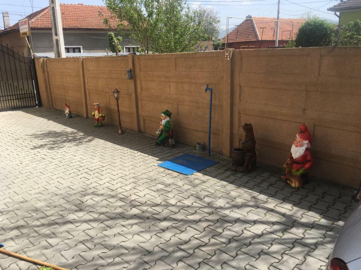 Casa Ovi Si Simo Hotel Hateg Bagian luar foto