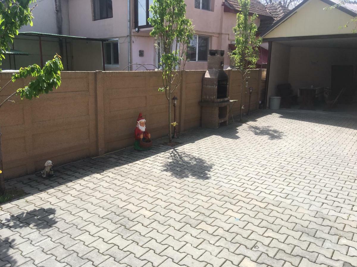 Casa Ovi Si Simo Hotel Hateg Bagian luar foto