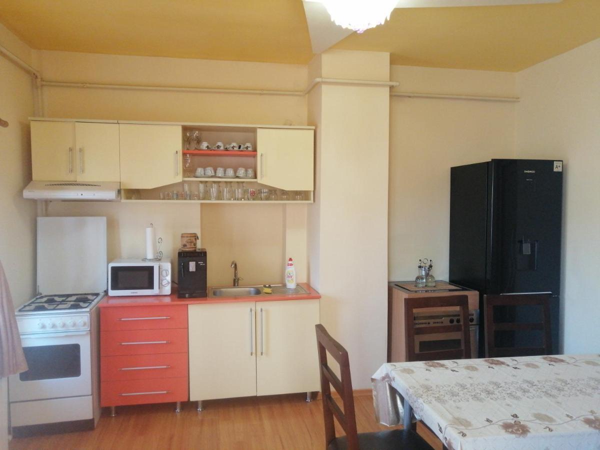 Casa Ovi Si Simo Hotel Hateg Bagian luar foto